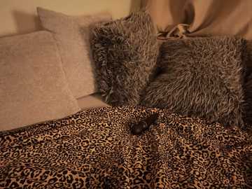 photomodellll @ stripchat on 20241005