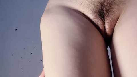 krismil3 @ stripchat on 20241006