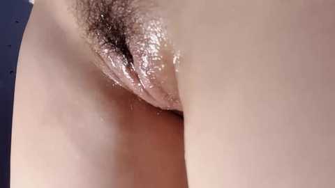 krismil3 @ stripchat on 20241006