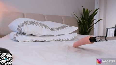 mayajenkins @ stripchat on 20241006