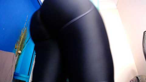stacyhotty @ stripchat on 20241006