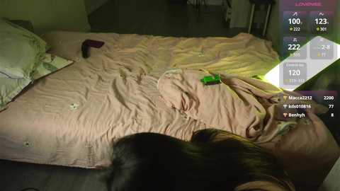 ysann @ stripchat on 20241006