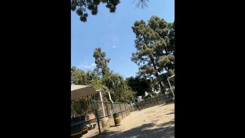 bigbuttbrooklynn @ stripchat on 20241007