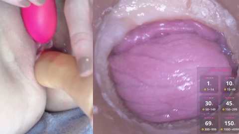 danigirl866 @ stripchat on 20241007