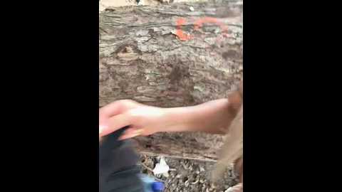 dianita_1988 @ stripchat on 20241007