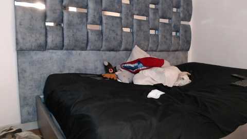 kimandyuk @ stripchat on 20241007