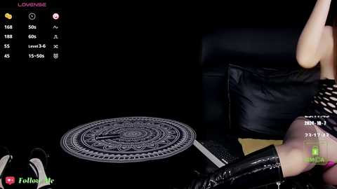 melia_z @ stripchat on 20241007