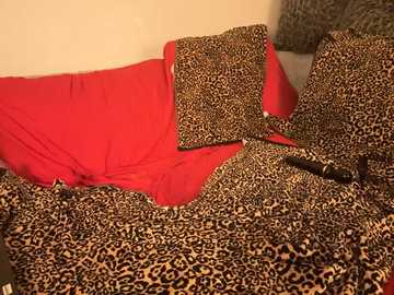 photomodellll @ stripchat on 20241007