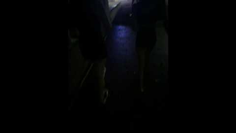 samantha_kevin @ stripchat on 20241007