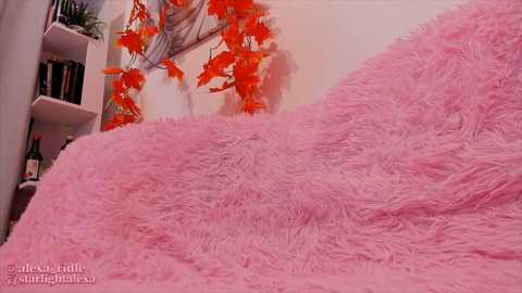 ally_young @ stripchat on 20241008