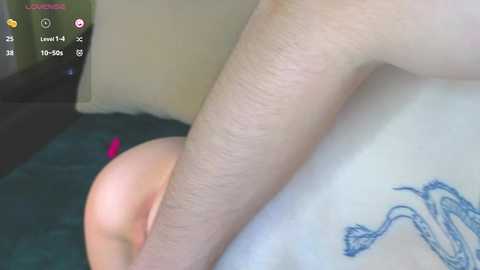 banyfo @ stripchat on 20241008