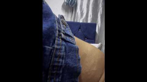 bonnie_williams6554 @ stripchat on 20241008