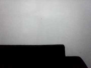 casalxvideos @ stripchat on 20241008