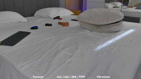 celestara @ stripchat on 20241008