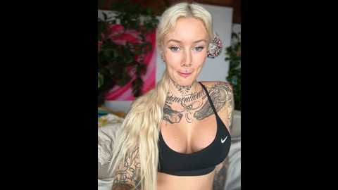 stella_kink @ stripchat on 20241008