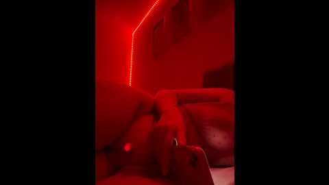 abella4uxx