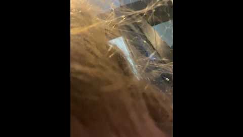 curvyflawless @ stripchat on 20241009