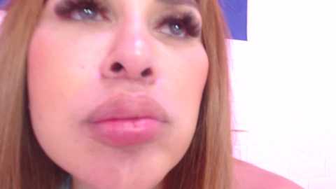 jakelinekitty @ stripchat on 20241010