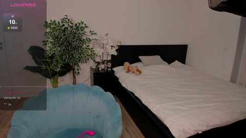 nicole_youthfull @ stripchat on 20241010