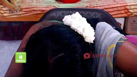 novapol @ stripchat on 20241010