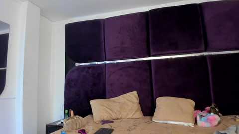 laylla_bz @ stripchat on 20241011