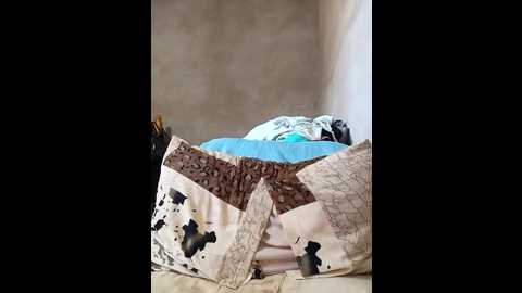 rimoda @ stripchat on 20241011