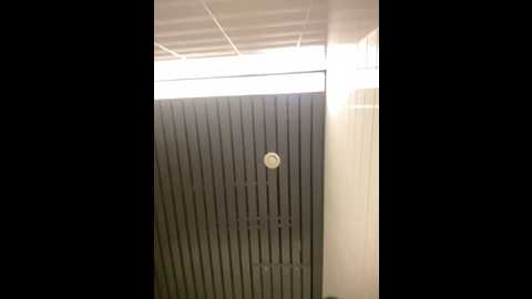 tisha_busty @ stripchat on 20241011