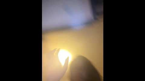 holyeroticss @ stripchat on 20241012