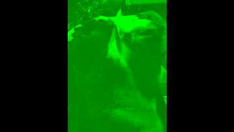 hot_rose83 @ stripchat on 20241012