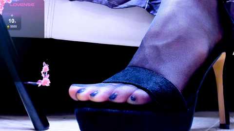 jennysi @ stripchat on 20241012