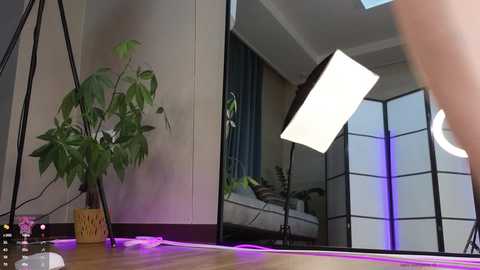 marry_cordy @ stripchat on 20241012