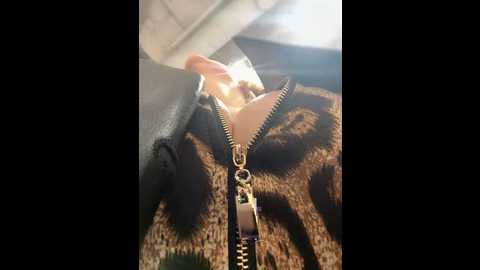 south_carolina @ stripchat on 20241012