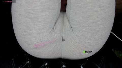 cameltoe_squirt_inpants @ stripchat on 20241013