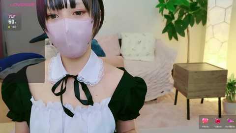 cohaku_329 @ stripchat on 20241013