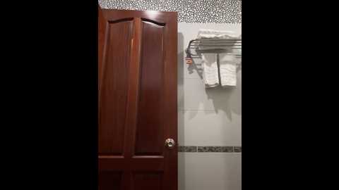 eira2004 @ stripchat on 20241013