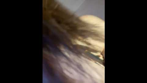 ghazala_bitsh @ stripchat on 20241013