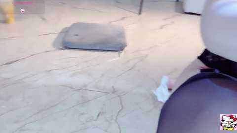 hahaha_ha2 @ stripchat on 20241013