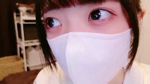 irohani_usagi @ stripchat on 20241013