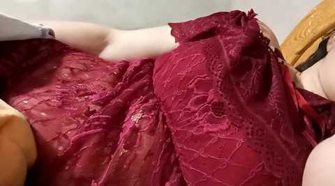 rimoda @ stripchat on 20241013