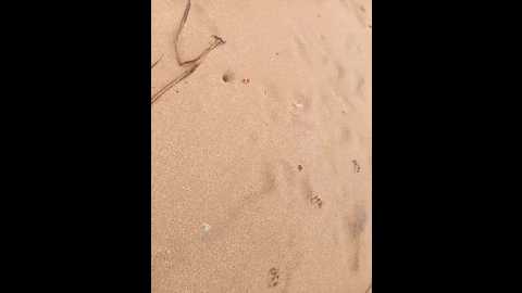 34lakshani1 @ stripchat on 20241014