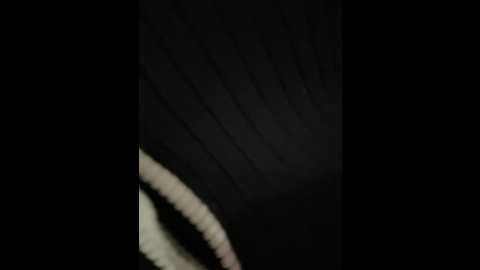 asia_lynn @ stripchat on 20241014