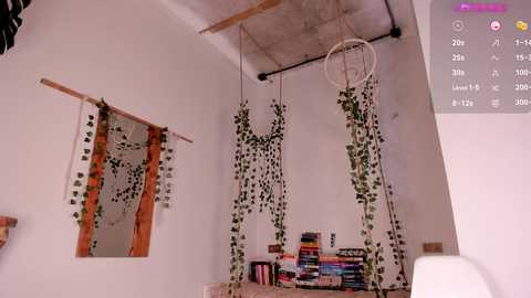 asuno_ @ stripchat on 20241014