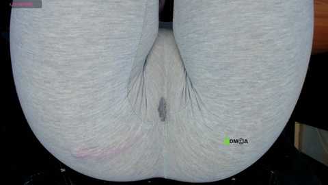 cameltoe_squirt_inpants @ stripchat on 20241014