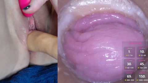 danigirl866 @ stripchat on 20241014