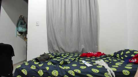 hippiro_ @ stripchat on 20241014