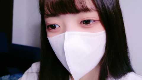 irohani_usagi @ stripchat on 20241014