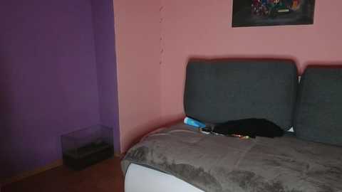 katusha006 @ stripchat on 20241014