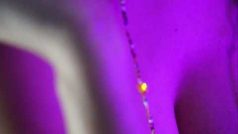 mishamalhotra @ stripchat on 20241014