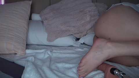 ory_stev @ stripchat on 20241014