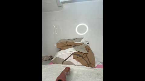 shymasha @ stripchat on 20241014